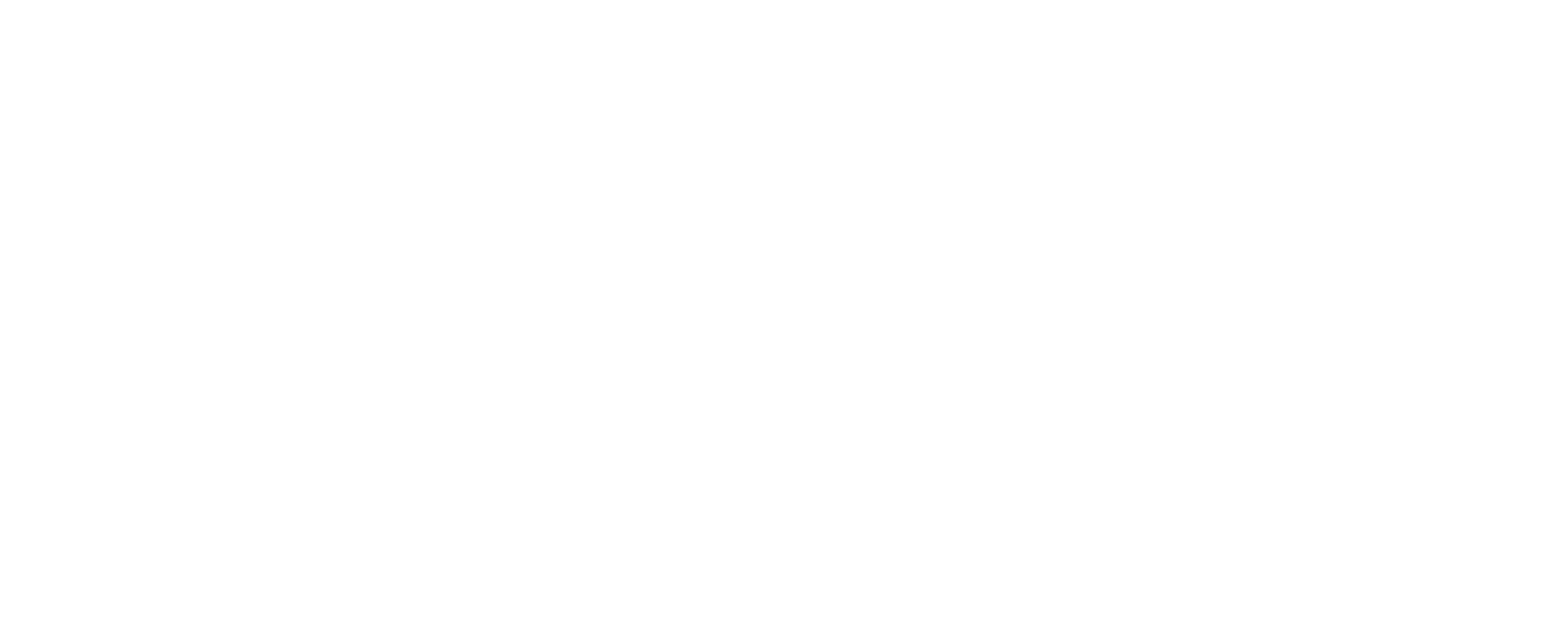Nwtl Group Logowht